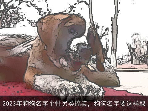 2023年狗狗名字个性另类搞笑，狗狗名字要这样取