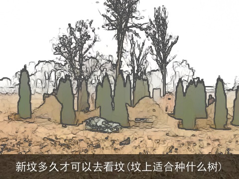 新坟多久才可以去看坟(坟上适合种什么树)