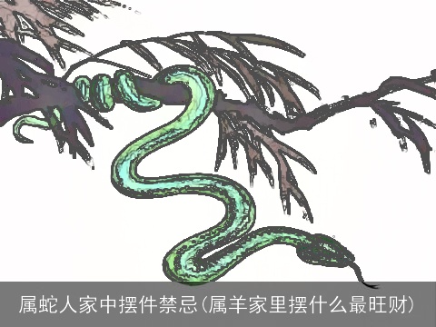 属蛇人家中摆件禁忌(属羊家里摆什么最旺财)