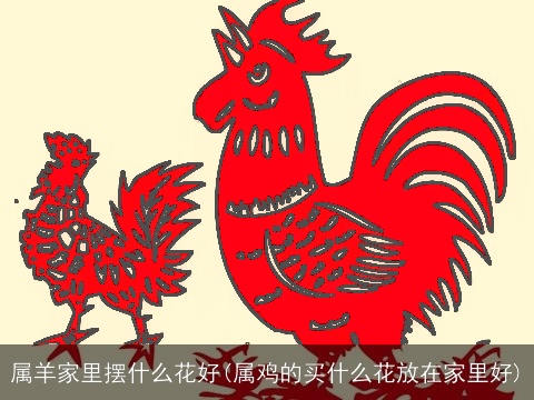 属羊家里摆什么花好(属鸡的买什么花放在家里好)