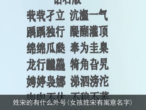 姓宋的有什么外号(女孩姓宋有寓意名字)