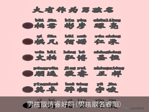 男孩取诗睿好吗(男孩取名睿阳)