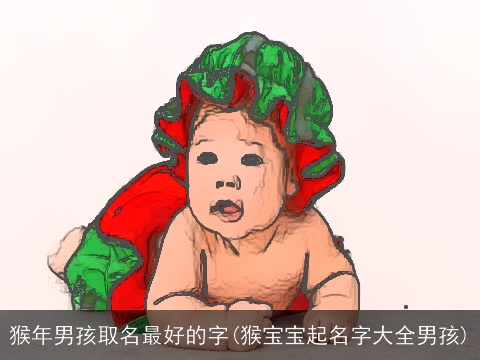 猴年男孩取名最好的字(猴宝宝起名字大全男孩)