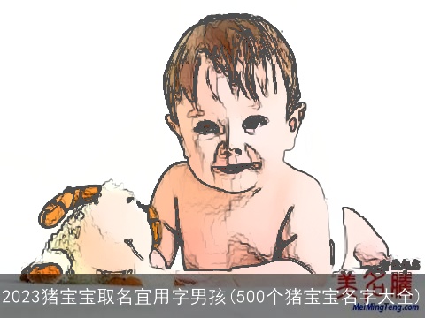 2023猪宝宝取名宜用字男孩(500个猪宝宝名字大全)