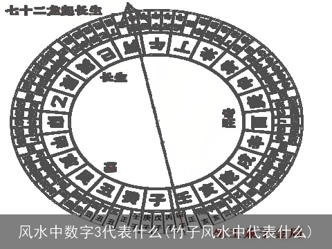 风水中数字3代表什么(竹子风水中代表什么)