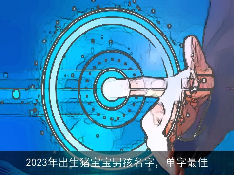 2023年出生猪宝宝男孩名字，单字最佳