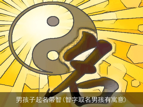 男孩子起名带智(智字取名男孩有寓意)