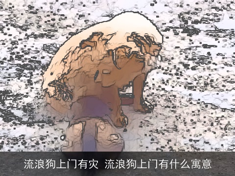 流浪狗上门有灾 流浪狗上门有什么寓意