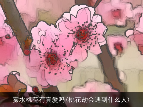 雾水桃花有真爱吗(桃花劫会遇到什么人)