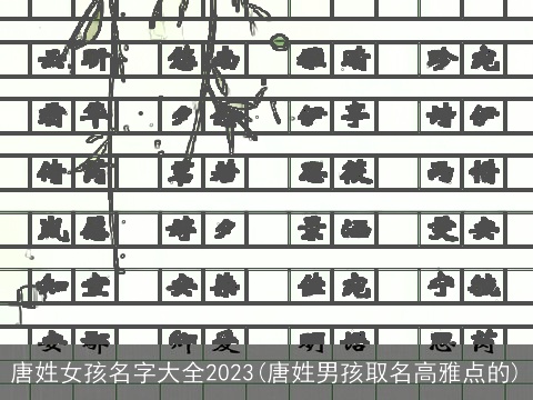 唐姓女孩名字大全2023(唐姓男孩取名高雅点的)