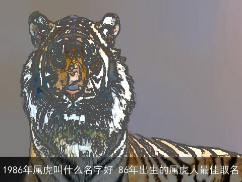 1986年属虎叫什么名字好 86年出生的属虎人最佳取名