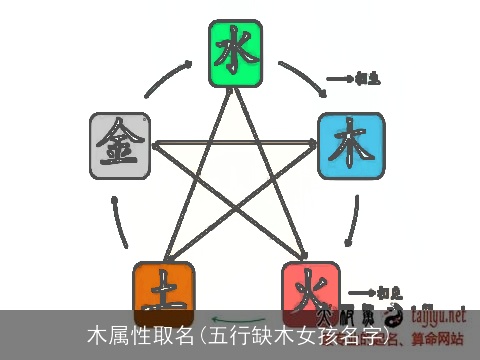 木属性取名(五行缺木女孩名字)