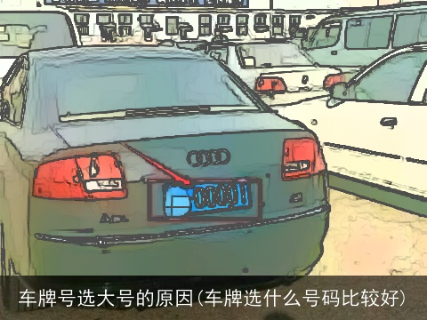 车牌号选大号的原因(车牌选什么号码比较好)