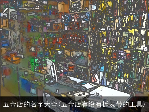 五金店的名字大全(五金店有没有拆表带的工具)