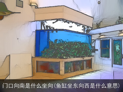 门口向南是什么坐向(鱼缸坐东向西是什么意思)