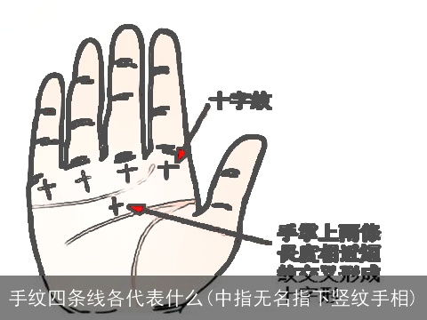 手纹四条线各代表什么(中指无名指下竖纹手相)