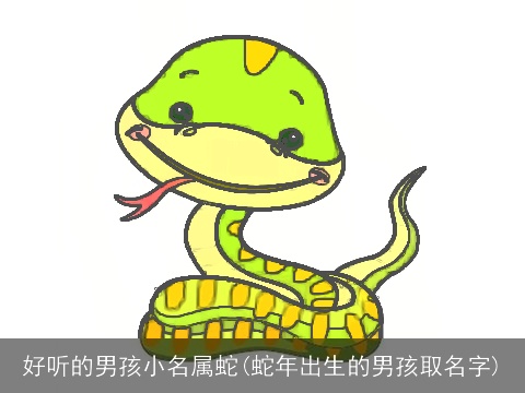好听的男孩小名属蛇(蛇年出生的男孩取名字)