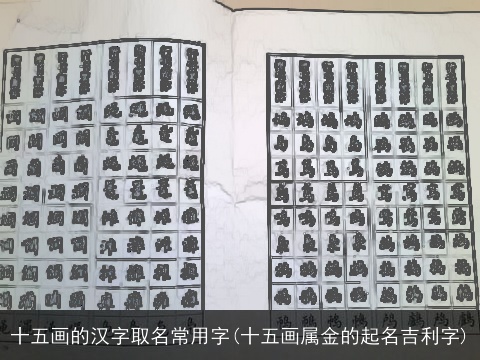 十五画的汉字取名常用字(十五画属金的起名吉利字)