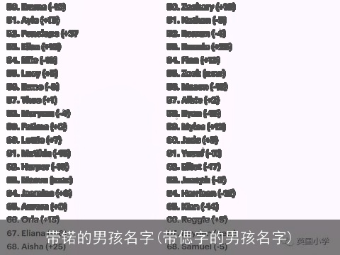 带锘的男孩名字(带偲字的男孩名字)