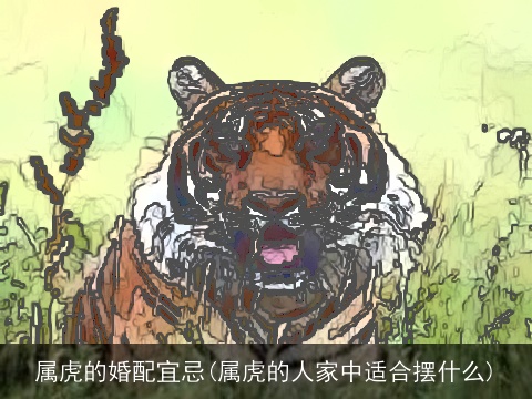 属虎的婚配宜忌(属虎的人家中适合摆什么)