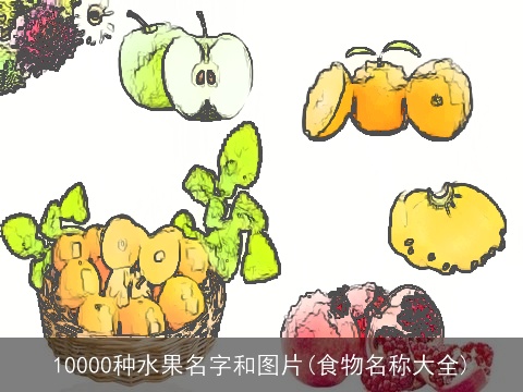 10000种水果名字和图片(食物名称大全)