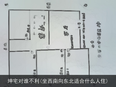 坤宅对谁不利(坐西南向东北适合什么人住)