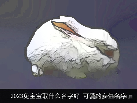 2023兔宝宝取什么名字好 可爱的女生名字