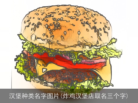 汉堡种类名字图片(炸鸡汉堡店取名三个字)