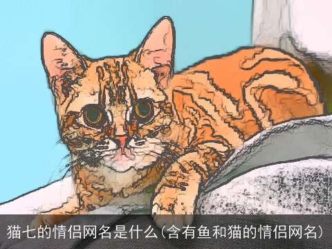 猫七的情侣网名是什么(含有鱼和猫的情侣网名)
