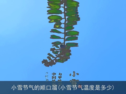 小雪节气的顺口溜(小雪节气温度是多少)
