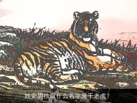 姓史男孩取什么名字属于老虎？