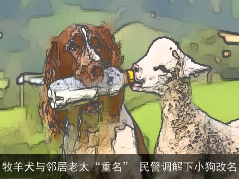 牧羊犬与邻居老太“重名” 民警调解下小狗改名