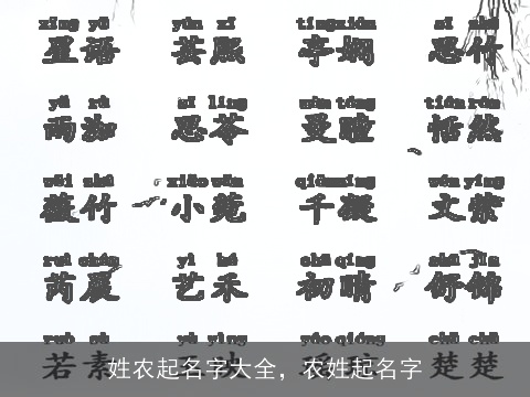 姓农起名字大全，农姓起名字