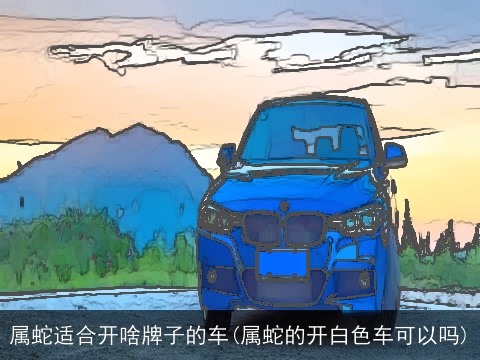 属蛇适合开啥牌子的车(属蛇的开白色车可以吗)