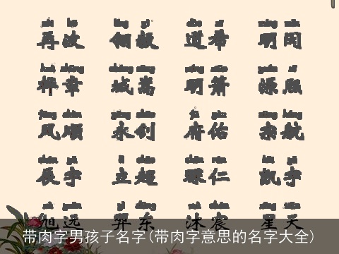 带肉字男孩子名字(带肉字意思的名字大全)
