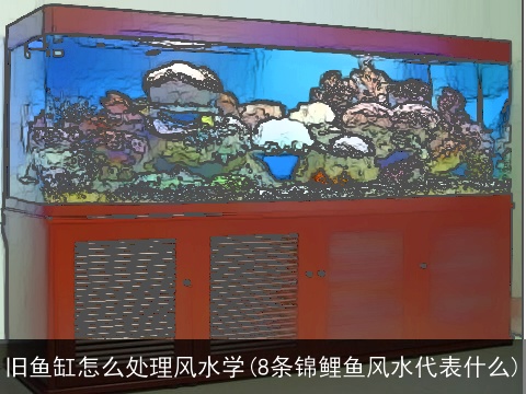 旧鱼缸怎么处理风水学(8条锦鲤鱼风水代表什么)