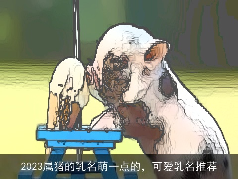 2023属猪的乳名萌一点的，可爱乳名推荐