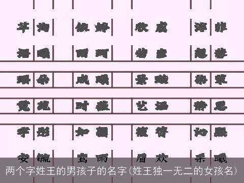 两个字姓王的男孩子的名字(姓王独一无二的女孩名)