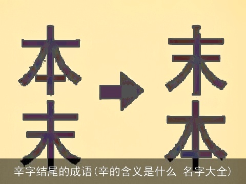 辛字结尾的成语(辛的含义是什么 名字大全)