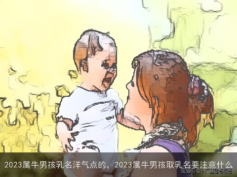 2023属牛男孩乳名洋气点的，2023属牛男孩取乳名要注意什么