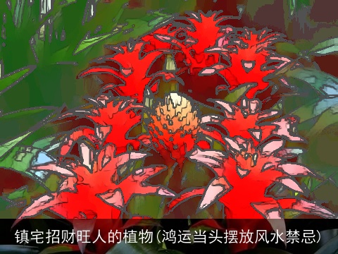 镇宅招财旺人的植物(鸿运当头摆放风水禁忌)
