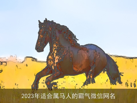 2023年适合属马人的霸气微信网名