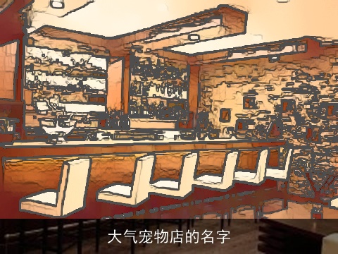 大气宠物店的名字