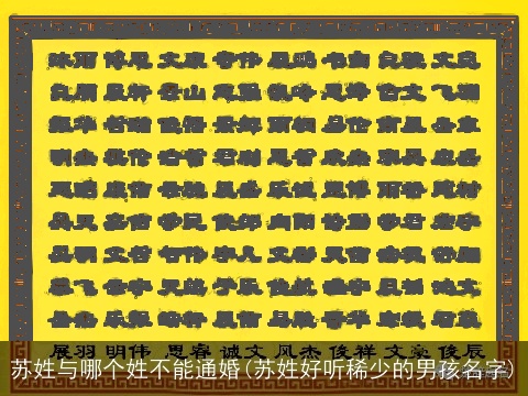 苏姓与哪个姓不能通婚(苏姓好听稀少的男孩名字)