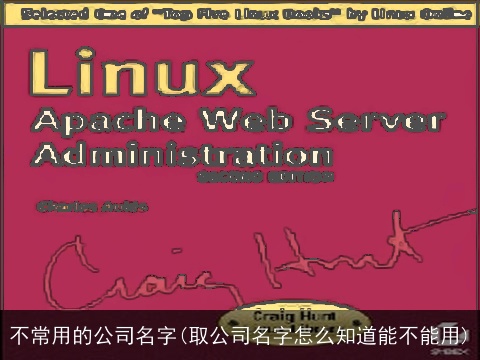不常用的公司名字(取公司名字怎么知道能不能用)