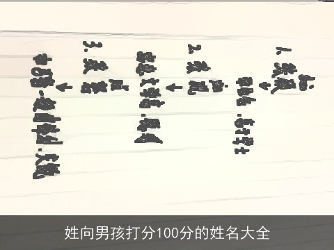 姓向男孩打分100分的姓名大全