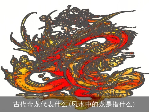 古代金龙代表什么(风水中的龙是指什么)