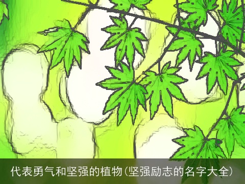 代表勇气和坚强的植物(坚强励志的名字大全)