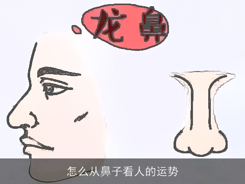 怎么从鼻子看人的运势