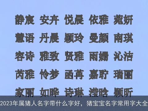 2023年属猪人名字带什么字好，猪宝宝名字常用字大全